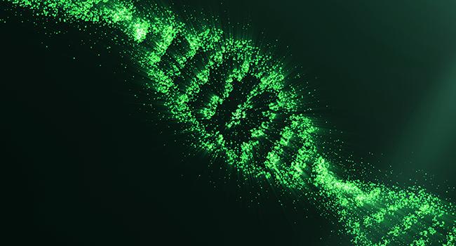 Researchers from Aalborg University have received a DKK 15 million grant to boost the mapping of bacteria. 